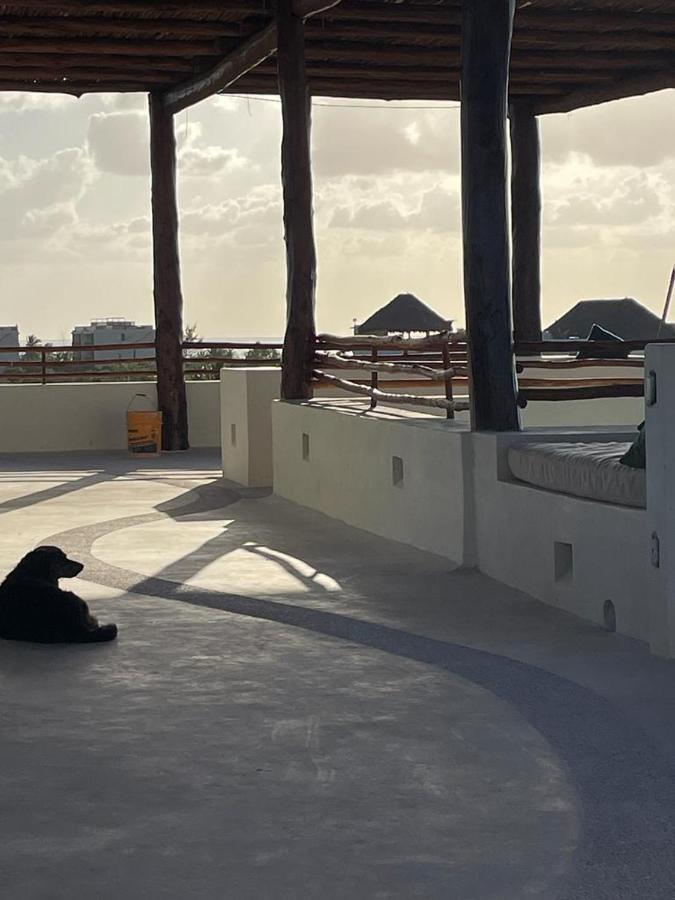 Casa Molly Apartment Isla Holbox Exterior photo