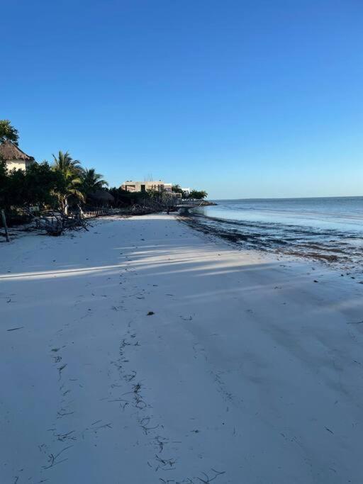 Casa Molly Apartment Isla Holbox Exterior photo